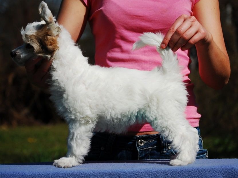 Picture