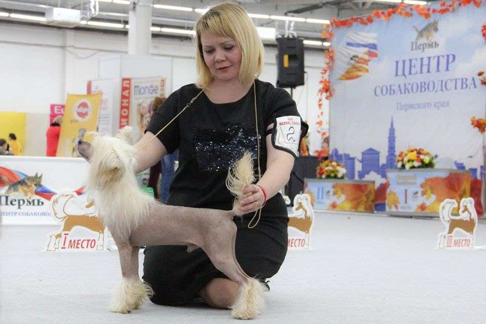 Grand Sunlife Vronsky