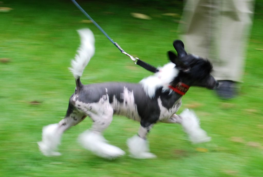 Untouchable's Makes You Breathless