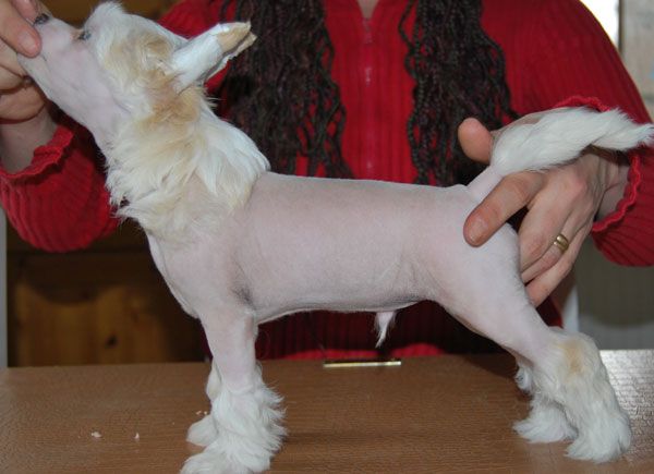 Beauty Of Xlnz Four Trust n Success