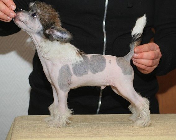 Picture