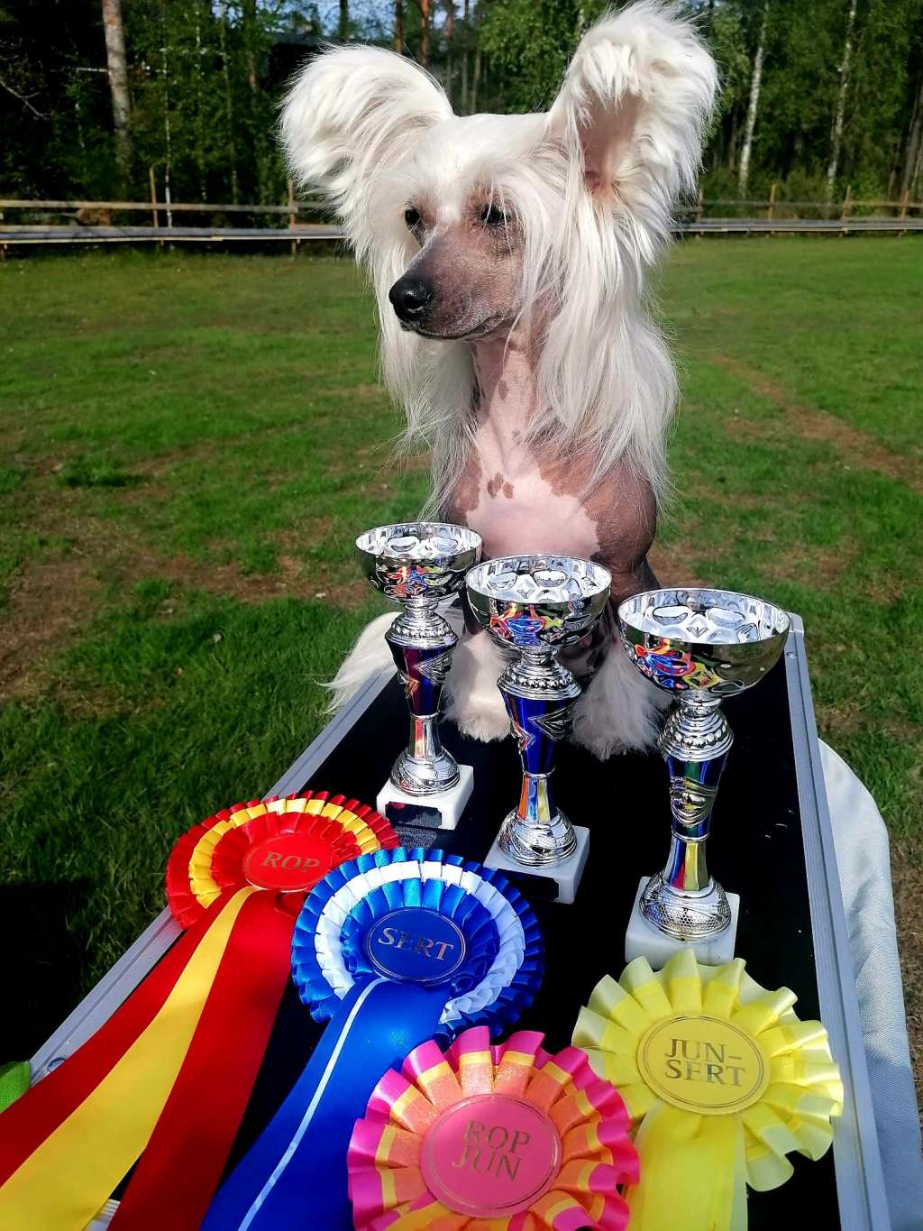 Concrete Clouds Crystal Clear