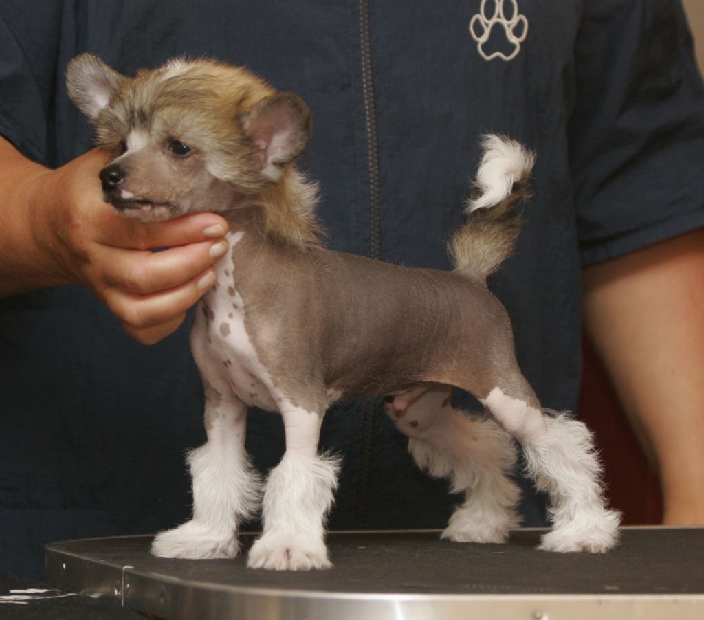 Gou's Nasty Piece Of Work