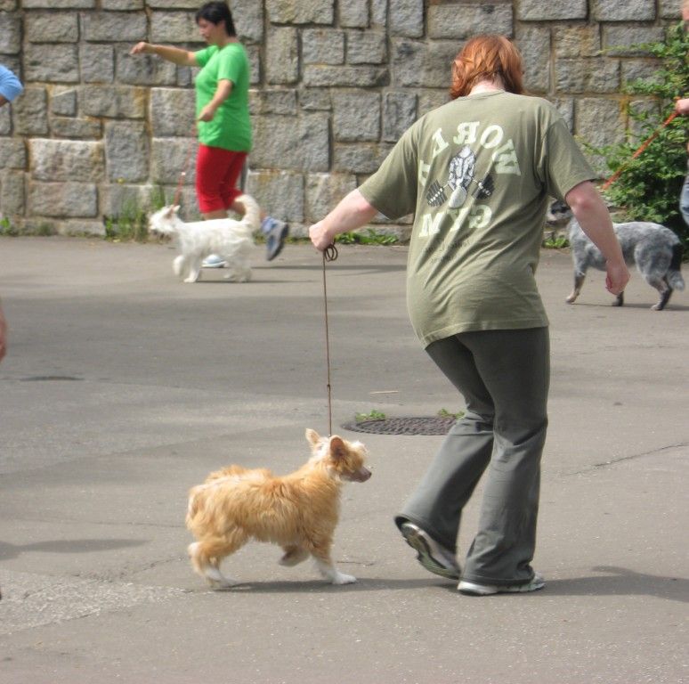 Picture
