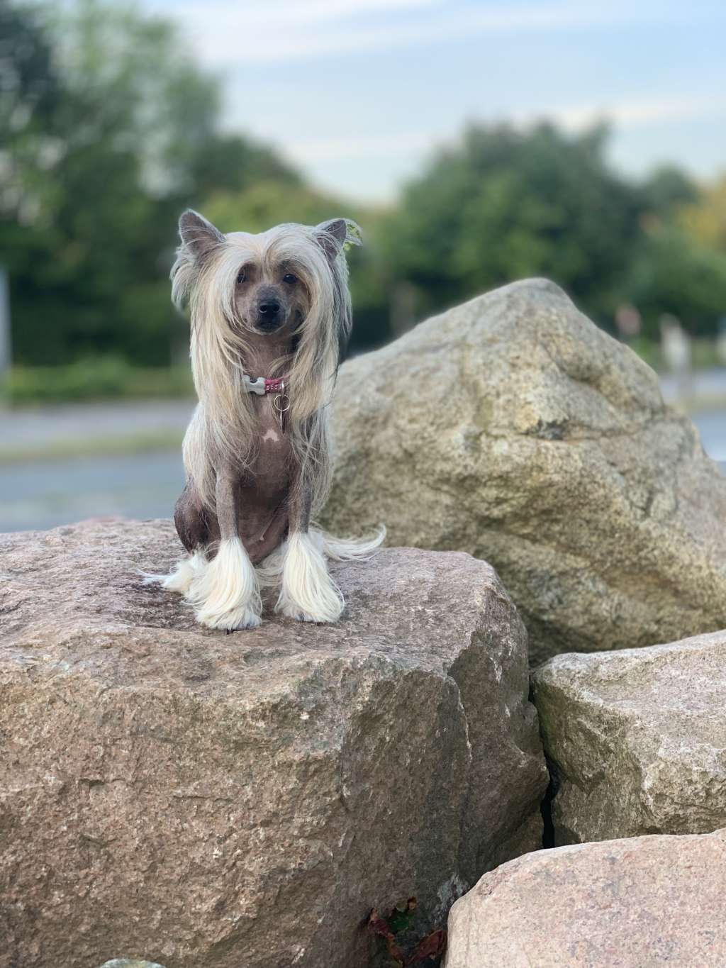 Diva La Viva Natalexx Life