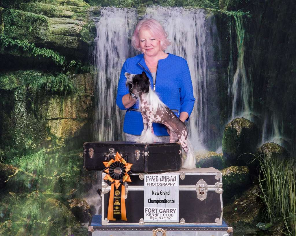 Hexs Laissez Les Bon Temps Rouler