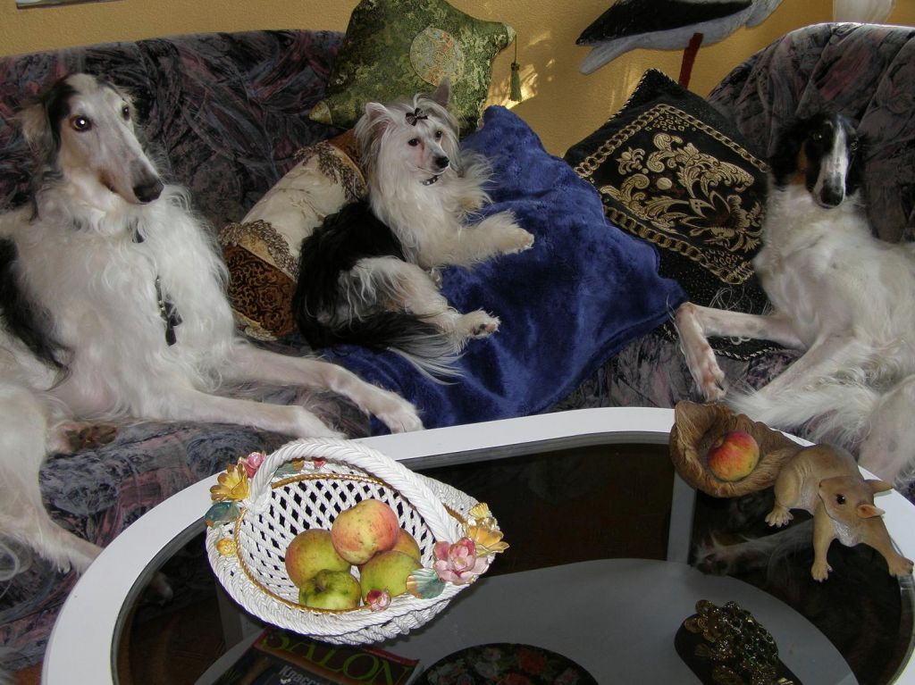 A Touch Of Heaven D- Amore