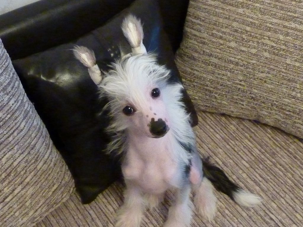 Olegro Katrin luxury Item 