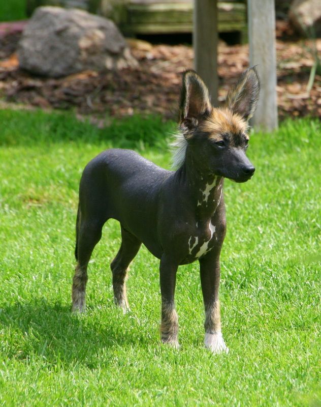 Solino's Sixth Sense