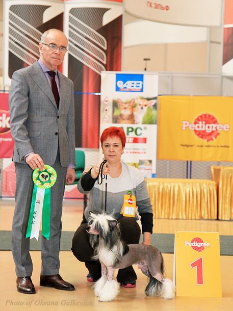 Worldshow Art Salut (Sharol Shi)