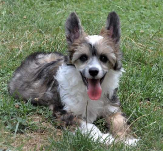 Ida Isis Milfra-Moravia