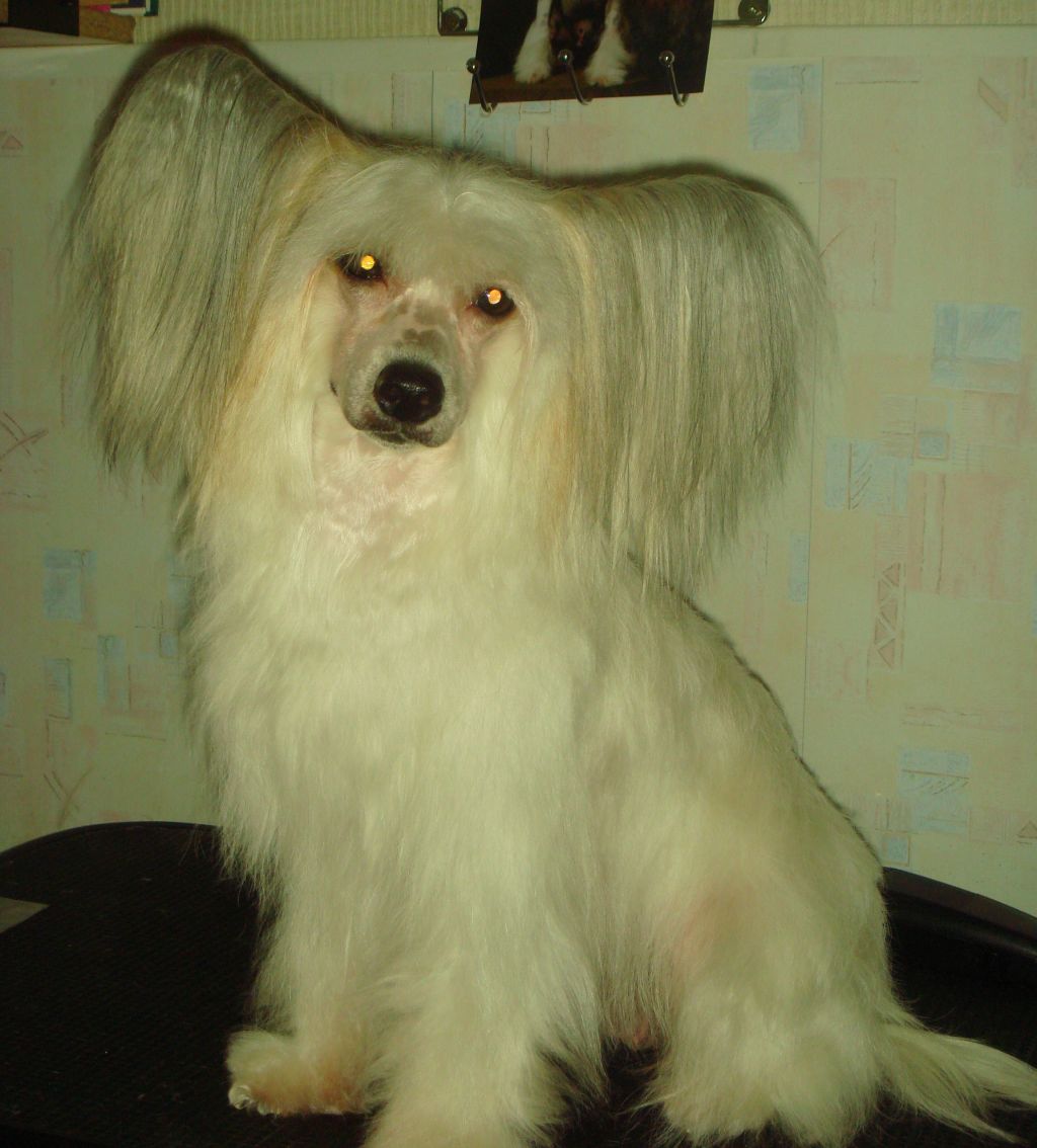 Jasmin Blanshe Bonus Westtai