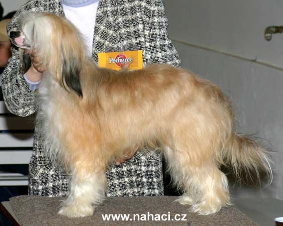 Olympic Powder Od Chlpiku