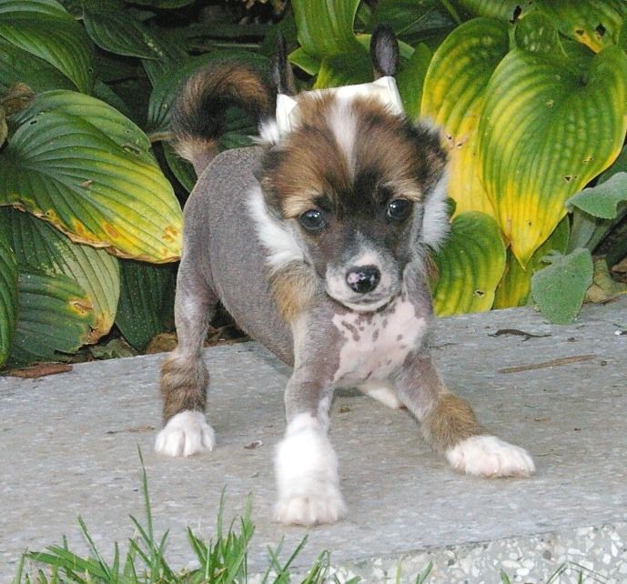 Blue Magic First Kiss