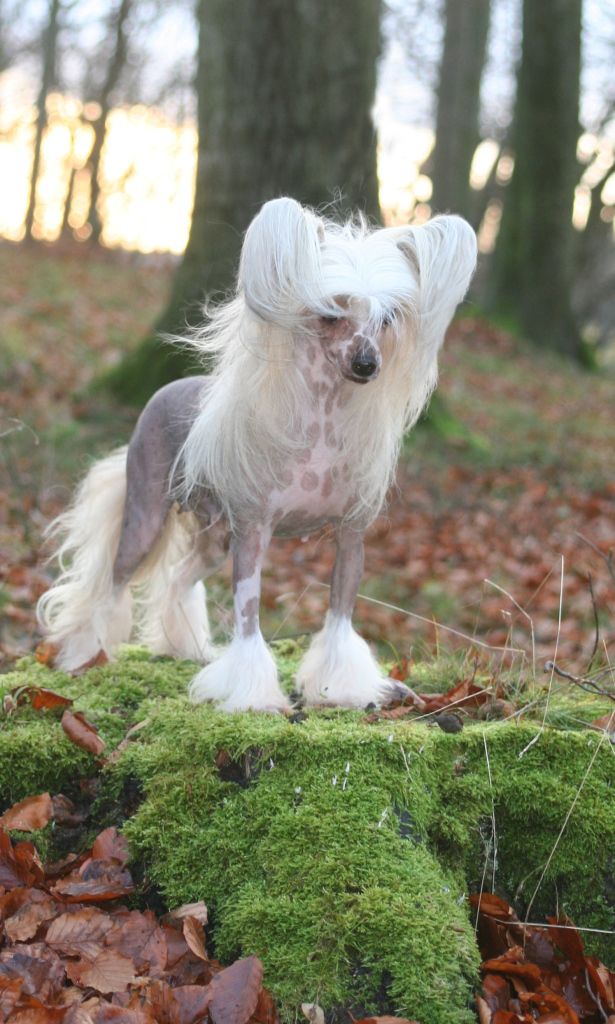 Time N Again at N'Co