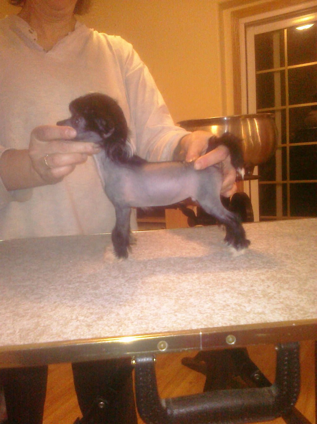 Yorkhouse Gotta be a Star