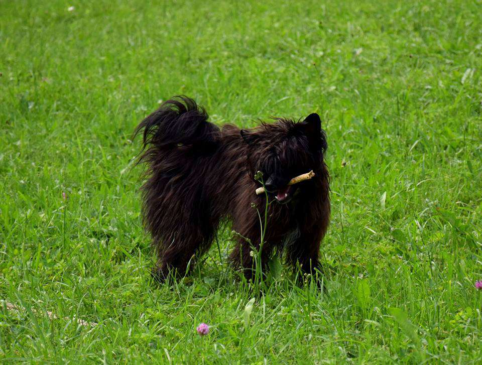 Aabha Reth Chan Tian