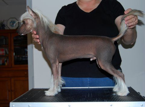 Wickhaven Right On Target