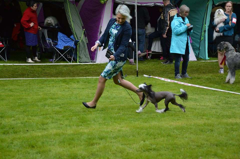 Love Bites I Wana Be Somebody