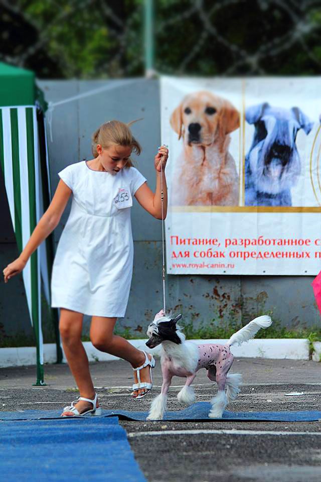 Picture