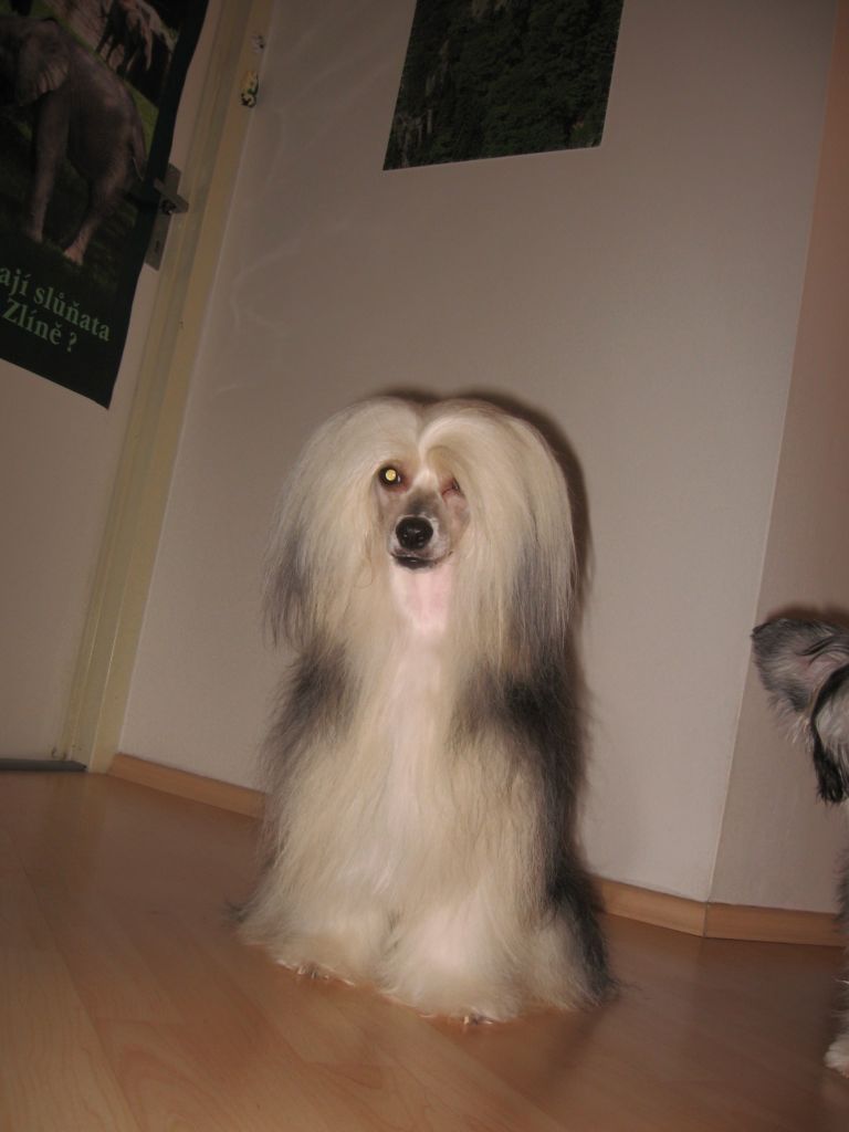 Guano z Jasne hvezdy