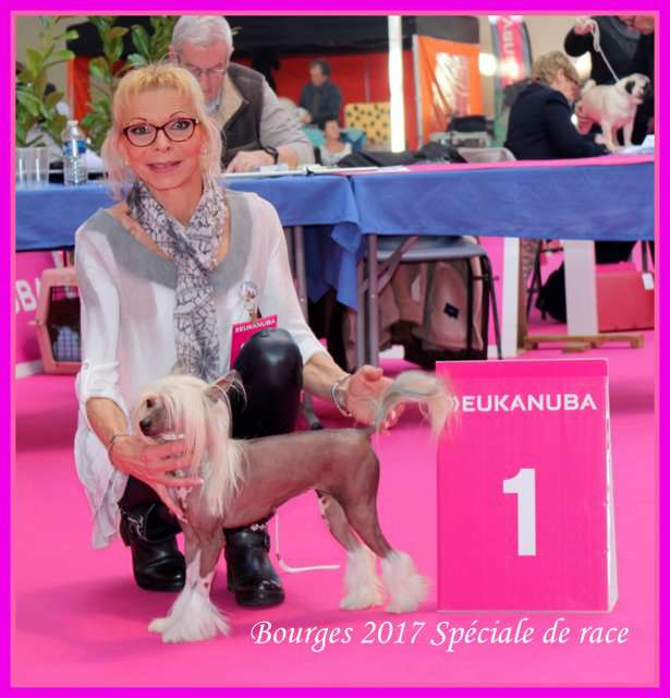 Janis Joplin Des Picholines