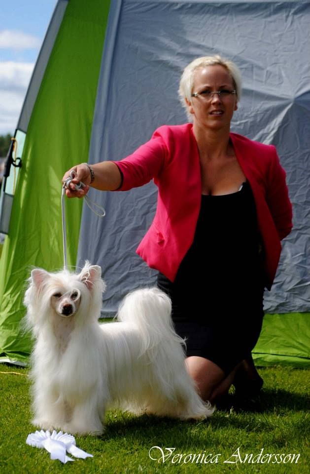 Bed-ma's Easy To Love