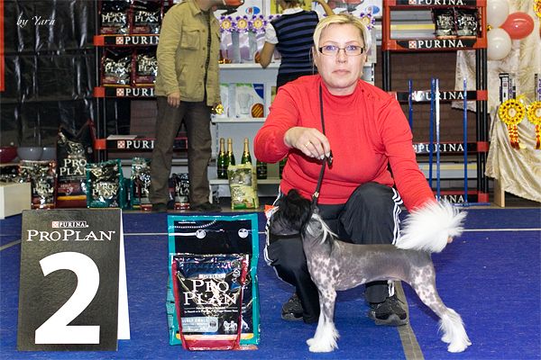 Elegantnij Djentelmen