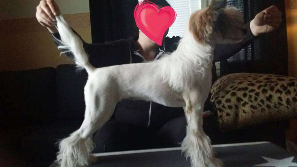 Black-Diva's Hey U I know Who I'm