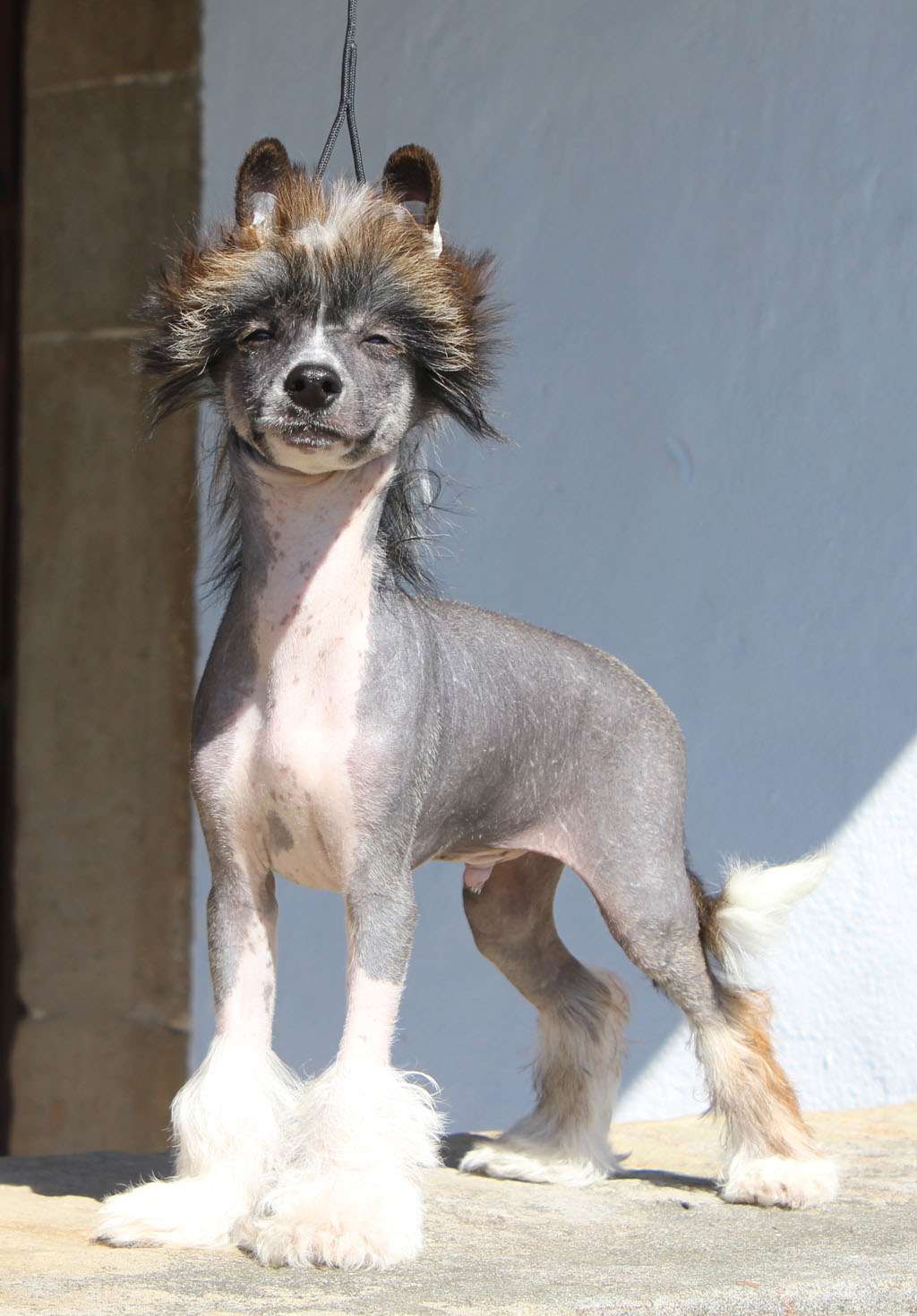 Handsome boy de Almamasan