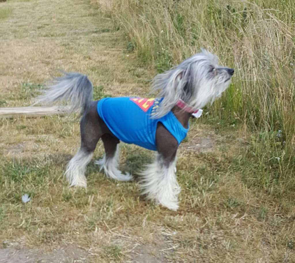 Nuts About Almost-Nonstop