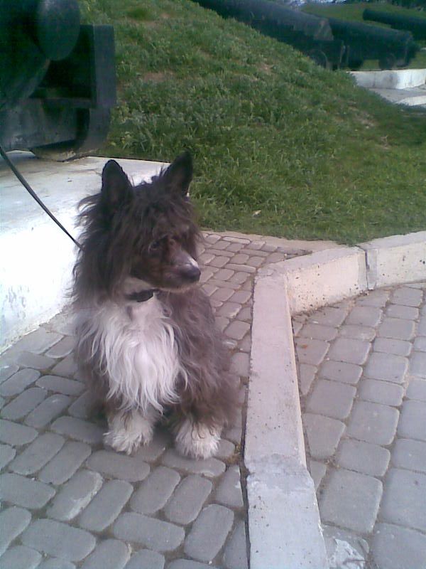 Dabi Bard Miracolo Dell'anima