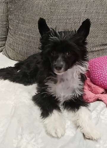 Julianna Milfra-Moravia