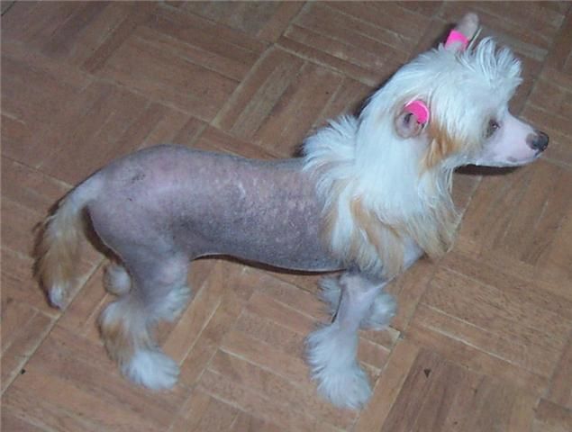 Mosaic The Doctor Is In