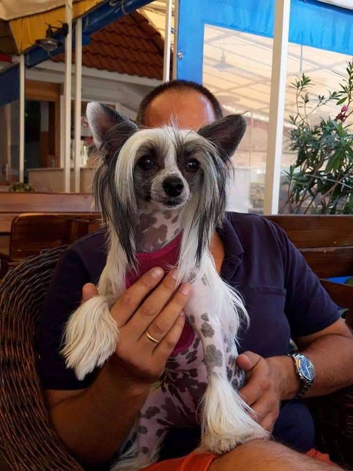 Fundoklia-völgyi Kaszanics Trinity