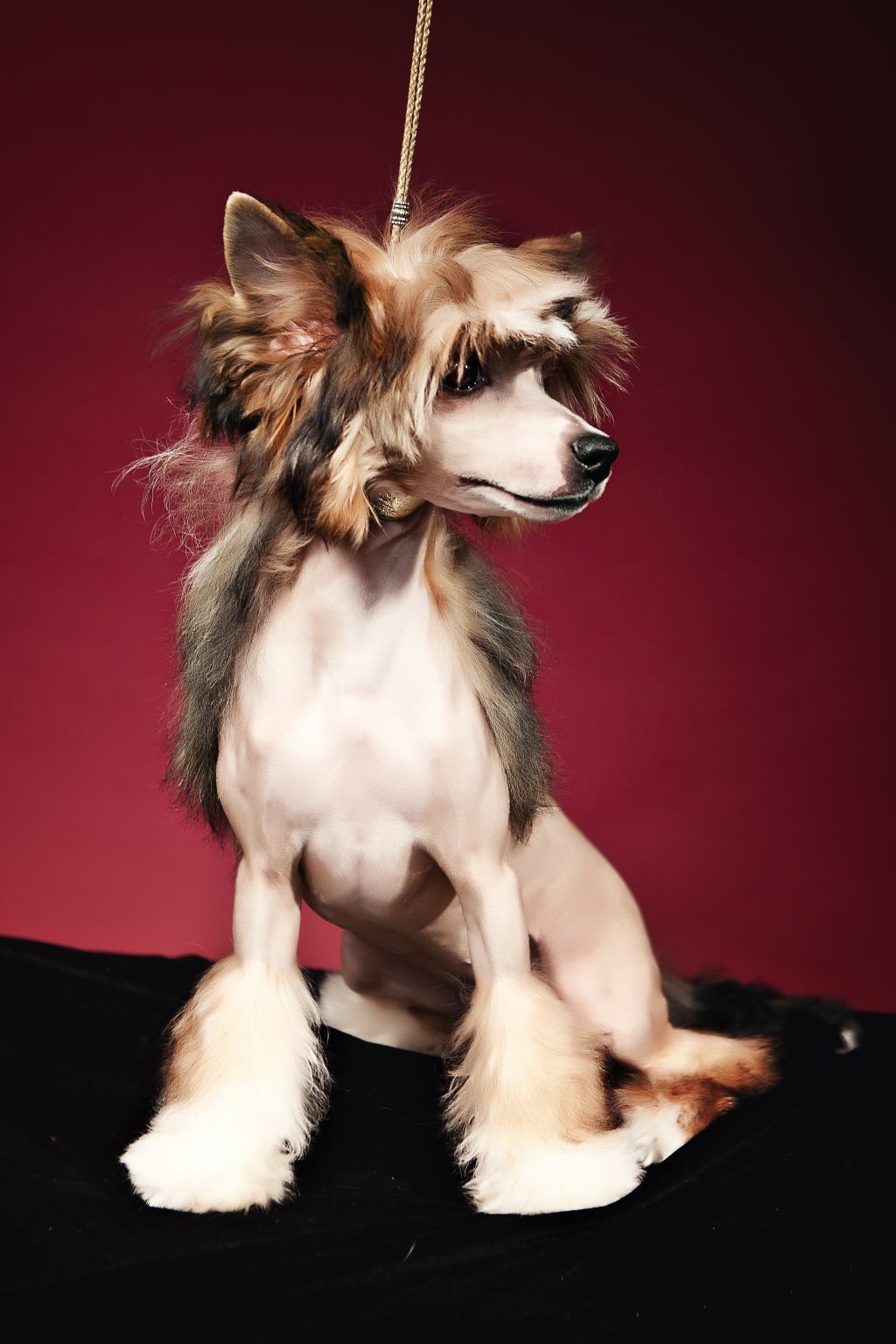 Oks Company Yellow Candy