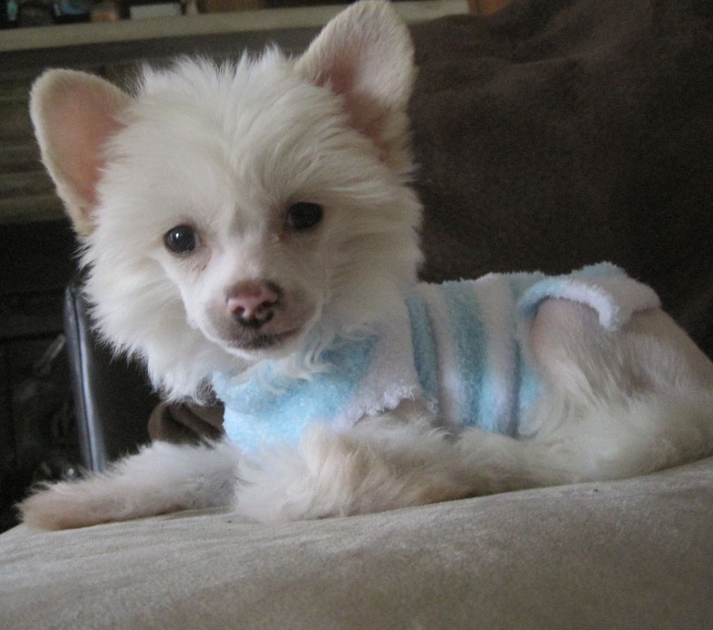 Escada's Klearly The Right Kind of Sinner