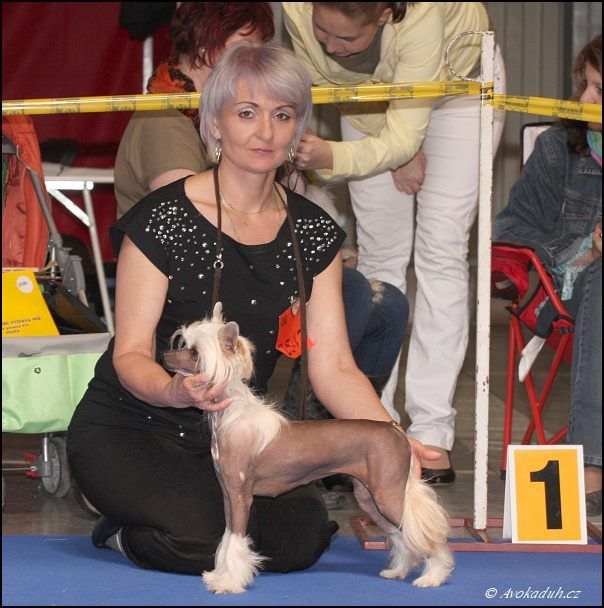 Chanette  z Teramonu