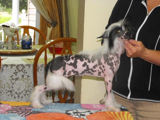 Bidwin Pyx Thinkin About Love