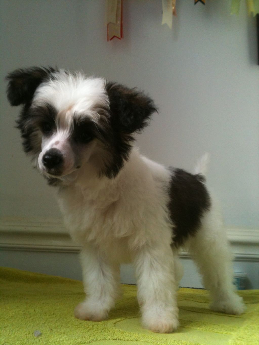 Reznor Everythings Groovy