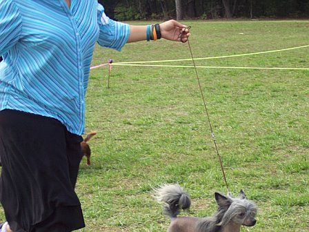 Layne's Sterling Silver O' Nonie