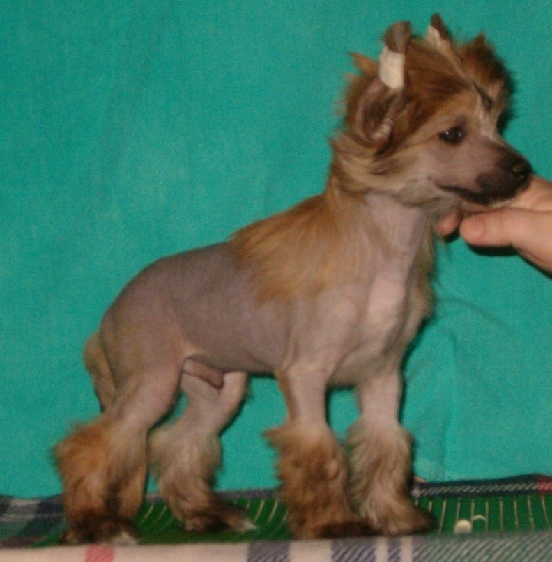 Picture
