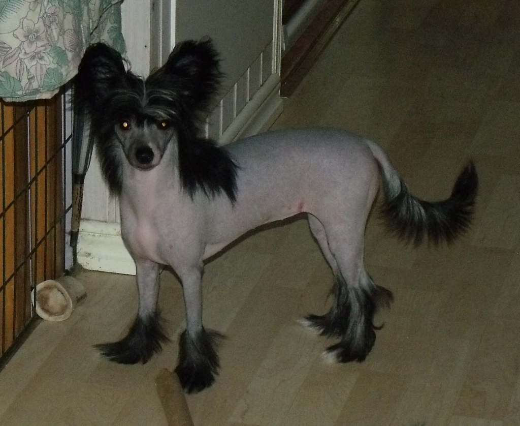 Qigous Keeper of Watersecrets