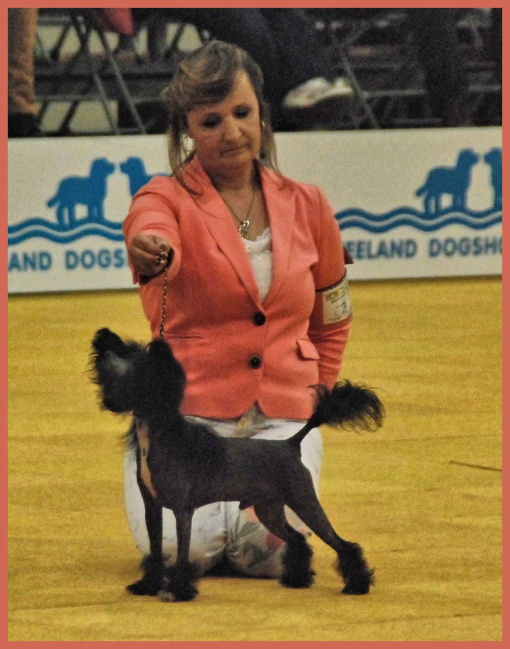 Hard To Copy of Angel's Legacy