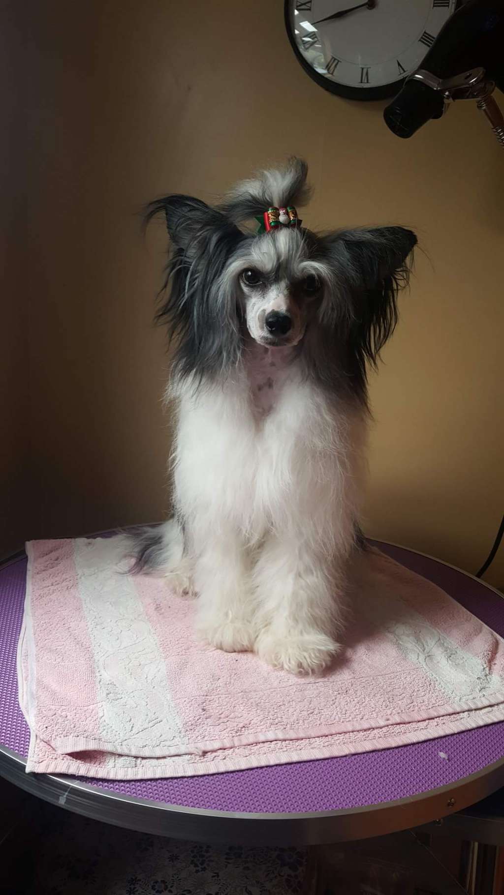 Koreke Taonga Of China