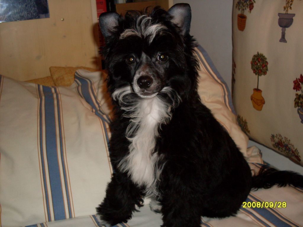 Picture