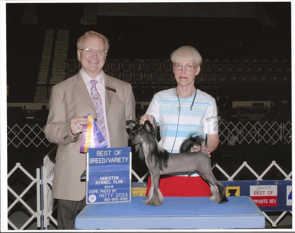 Jewels Monkey Business at Chargi