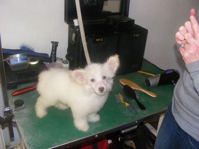Picture