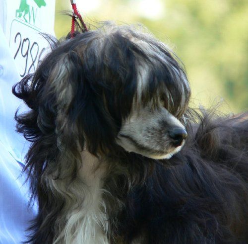 Sally z Jasne hvezdy