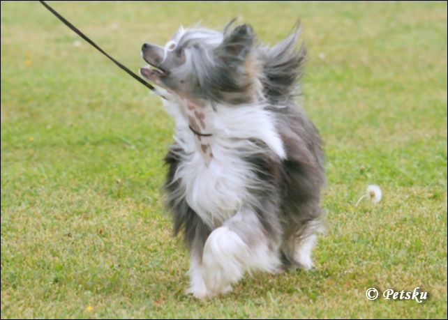 Chattanooga's Sunrise Surprise